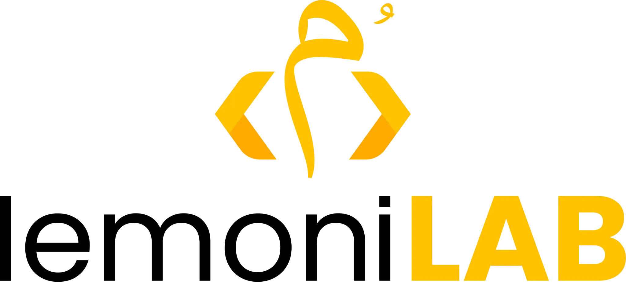 E-commerce Solutions for in the UAE| LemoniLab